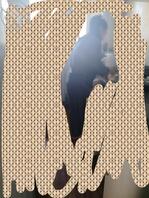 寄宿嫂子对我好2