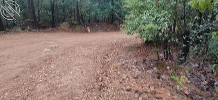 4昨天半夜睡不着用小号给我妈妈发了个消息，居然没想到她给我回复了..0