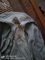 舅妈的原味内内0