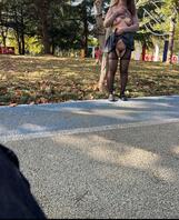 最新骚母狗人前露出，小伙眼都直了，射屏返图送原味，另寻胶南老头，母狗喜欢0