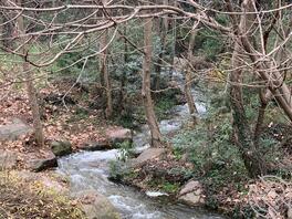 绿母奴求主人每天安排任务0