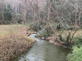 绿母奴求主人每天安排任务1