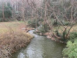 绿母奴求主人每天安排任务2