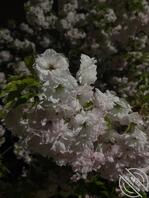 寻找妈妈，姐姐0