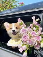 寻找妈妈，姐姐2