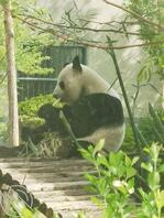 好想操孕妇。