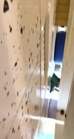 骚逼大屁股