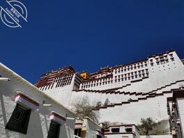 成都双流求个阿姨0