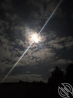 想把嫂子弄到手