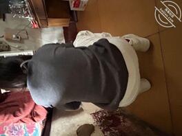 怎样才能把我的骚妈给上了，有喜欢的吗？0