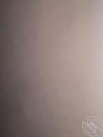 妻子的骚逼屁眼