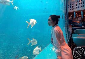 老婆和老婆闺蜜，想射哪一个，求射屏老婆会看2