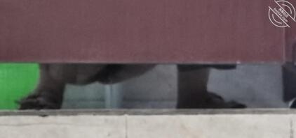 厕所偷拍同事，关系还可以