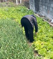 绿母绿妈淫母，找个年轻大鸡吧野爹，四川雅安石棉县2