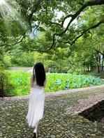 假期准备下手 大哥们可以出出主意吗0