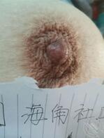 岳父厨房做饭,卧室口爆岳母22