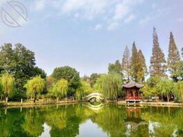 寻义乌长期女伴1