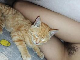 新认识的10年小母狗