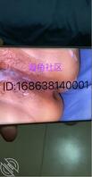 16）风韵犹存的老妈穿上情趣内衣，被亲儿子大鸡巴爆肏0
