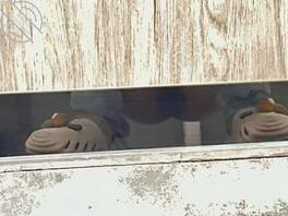 漯河同好探讨2