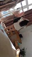 （原创23）打飞机射到妹妹内裤上