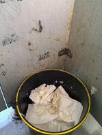 济南废物公狗公厕露出，求任务2