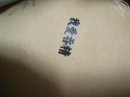 骚货【二十】纹身贴纸四0