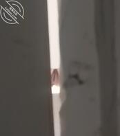 厕所偷拍00年女生0