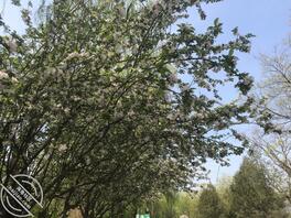 求真实有效陪读妈妈1