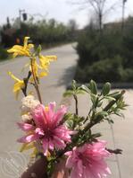 求真实有效陪读妈妈2