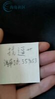 原创办公室女胖骚逼②