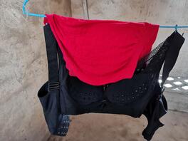 小骚逼的内衣裤又来了2