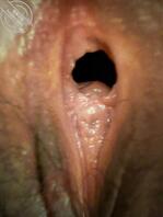 和骚屄婊子老婆妈妈的肏屄生活1