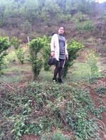 求友友们支个招 想上舅妈1