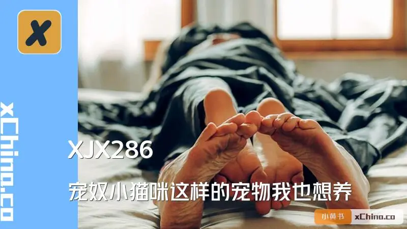 宠奴小猫咪这样的宠物我也想养
