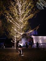 昨天晚上操的时候她同意了让别的男人操她。操完了就不认了。1