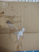 最新街拍，饥渴难耐撸射最新街拍1