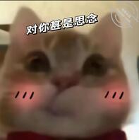 找点重庆的渣女来榨干我