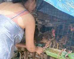 大哥不在家,每次看着嫂子的奶子都好想吃,有没有什么好办法可以得到?求助1