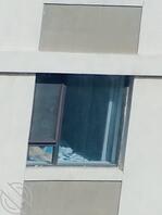 这大白屁股1
