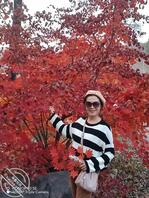 抚顺望花区老熟女2