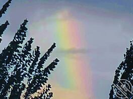 想问问大家上姐姐有没有好的办法1