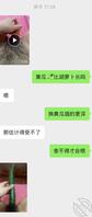 调教贱狗婊子公交车1