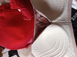 想欢迎大家辱骂我的猪妈母猪0