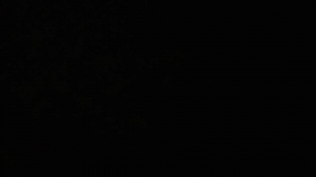 肛交
