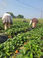 为什么发不了视频，上传文件里没有这个选项0