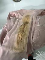 邻居骚货原味内裤 