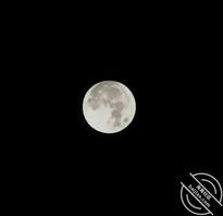 徐州睢宁，姐姐阿姨可交流。