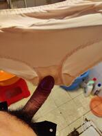 岳母骚逼内衣裤2