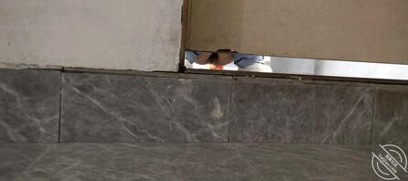 第1次偷拍太紧张了，手机像素有点低，不是特别清楚0